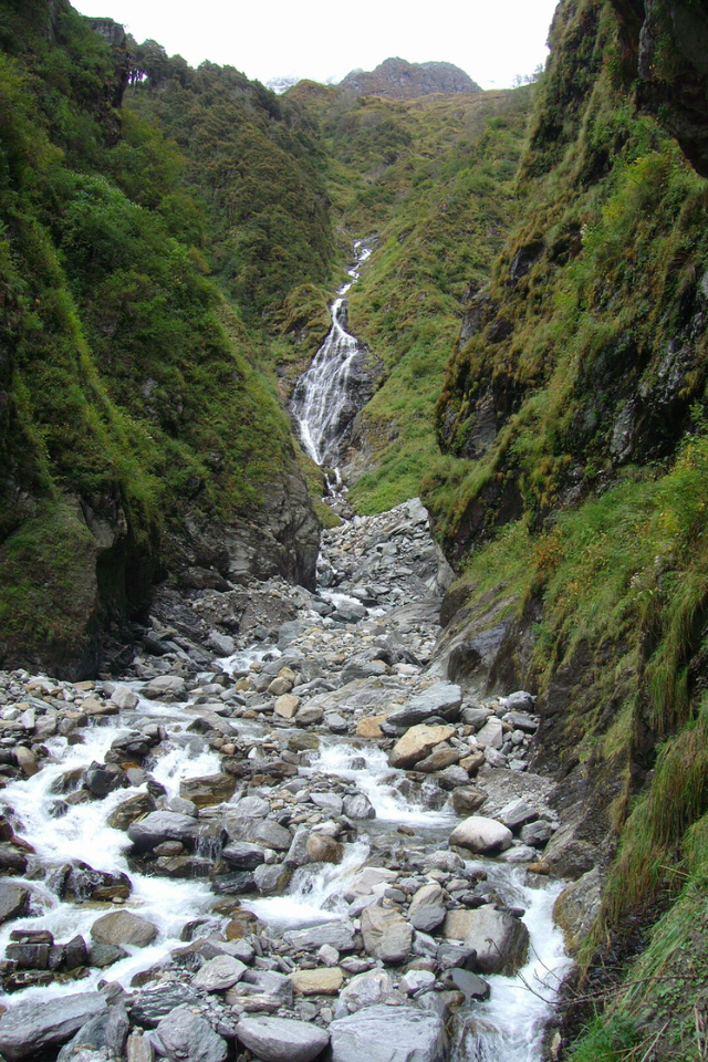 Untitled design - 2025-07-08T154313.444