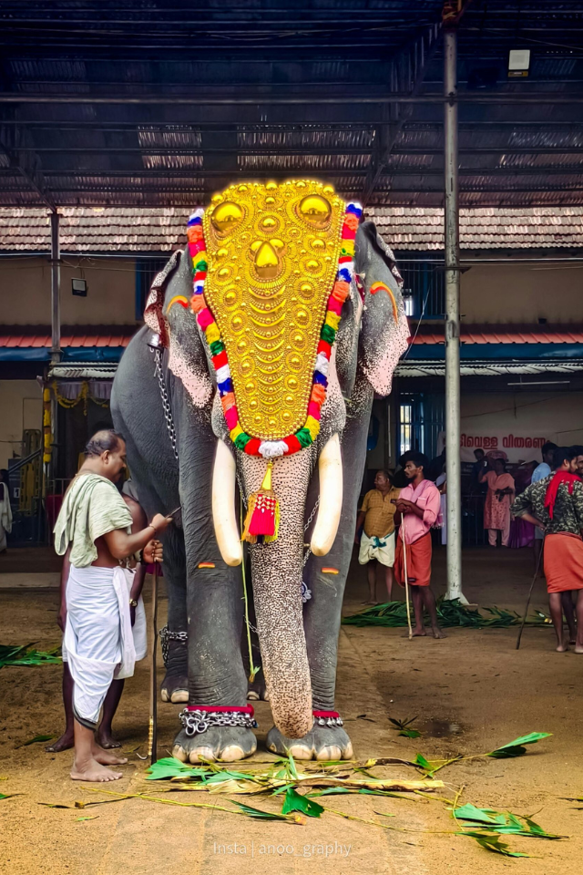 Untitled design - 2025-07-09T112530.295